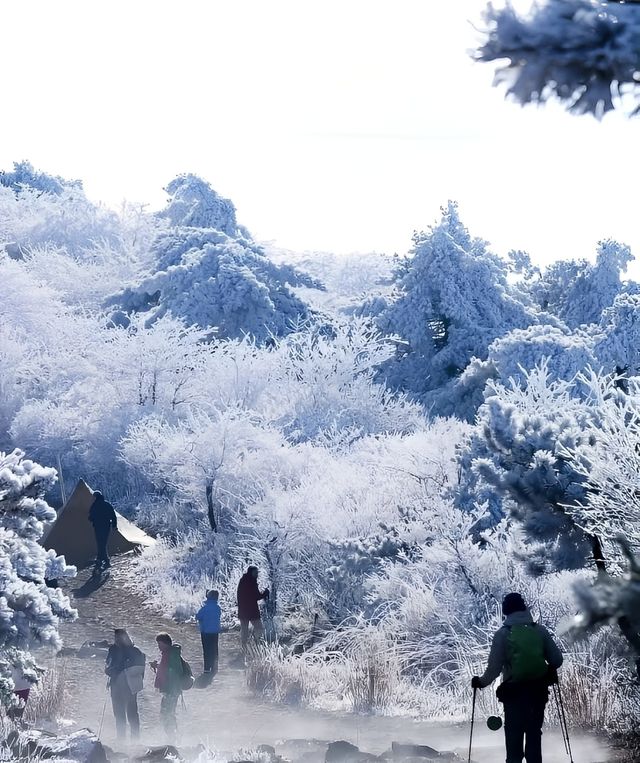 獨棟別墅 山野溫泉