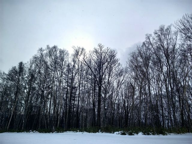 感受喜樂樂滑雪酒店：缺點無法掩蓋的絕佳滑雪體驗