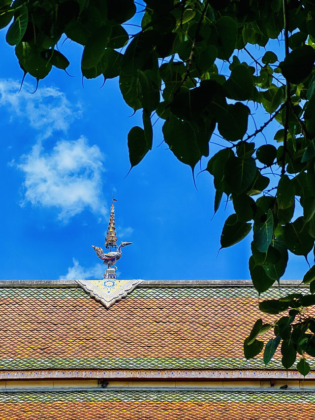 泰國南奔府｜小眾旅行大大收穫雅瑪黛維女王寺