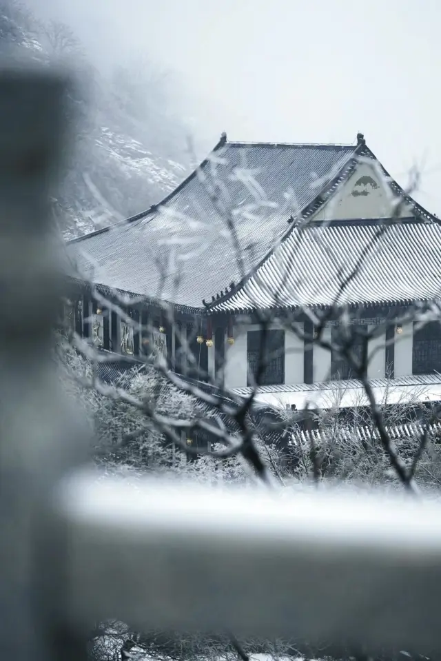 武汉の雪は木兰山に降りました