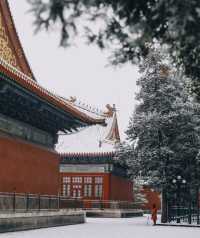 北京中山公園 | 古風紅牆靠白雪