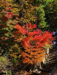 本溪盤錦紅海灘國家風景廊道之行