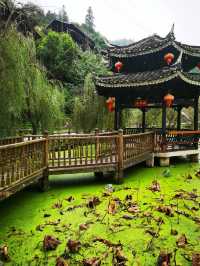 10月12日早上吃完了本地特色早餐就出發了，一路上漸漸有了秋天的顏色，還有一些晚稻金黃黃的，道路的兩