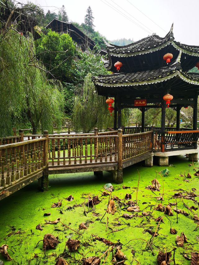 10月12日早上吃完了本地特色早餐就出發了，一路上漸漸有了秋天的顏色，還有一些晚稻金黃黃的，道路的兩