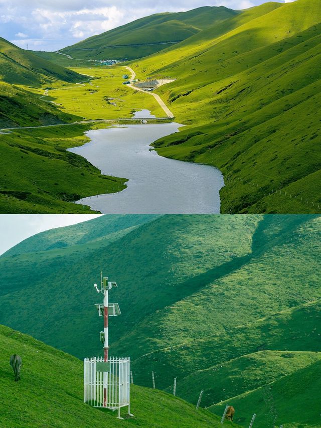 宮崎駿同款草地——大海草山