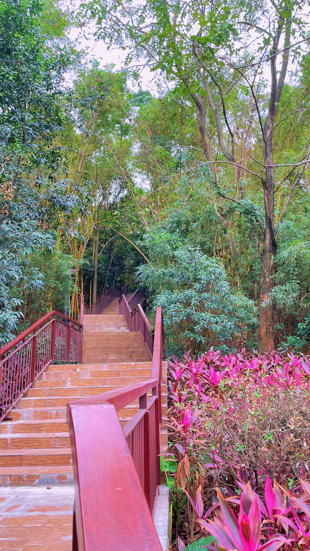 週末戶外新發現黃埔科學城環山公園