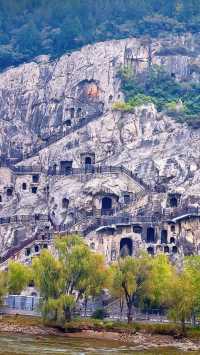 風吹洛陽城，花開盛唐夢