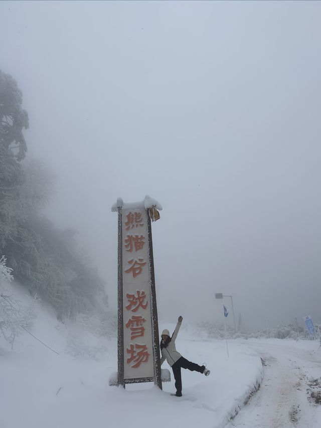 遠離人群，這個地方太適合雪地撒歡啦