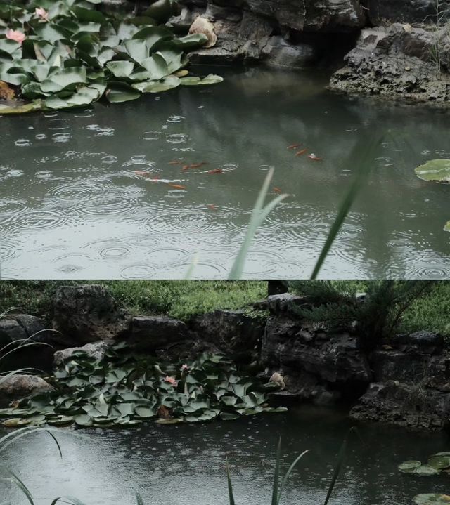 在淄博|住進灰瓦紅磚裡，獨享一方寧靜