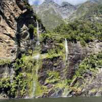 A Taste of the Enchanting Fiordland!