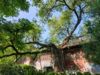 稷山稷王廟始建於元朝，清宣宗道光二十三年（1843年）重建，佔地面積4100平方米