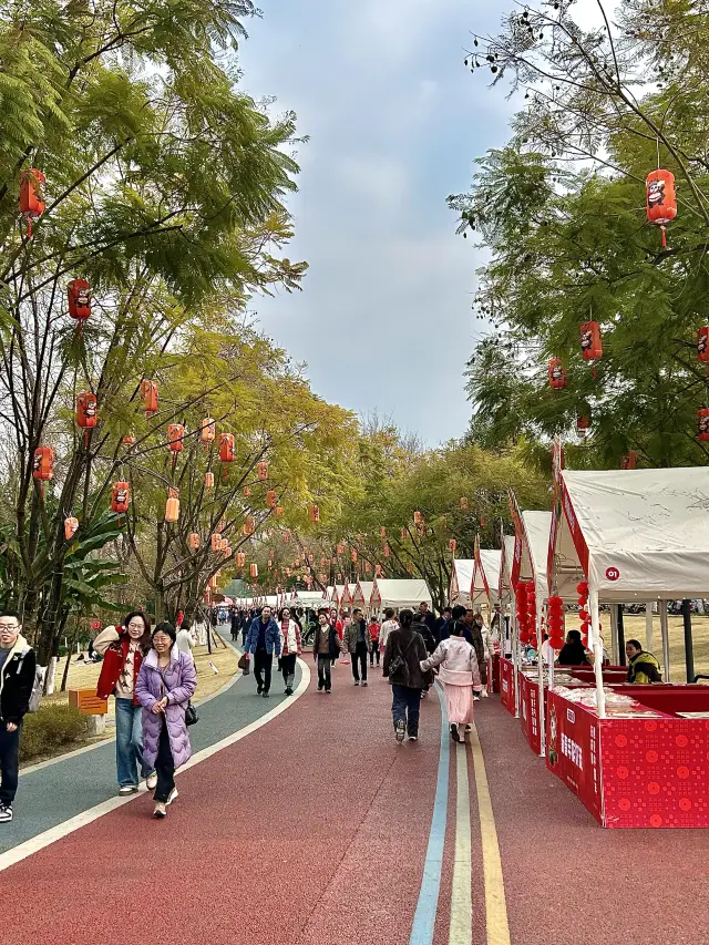 Successfully avoid the crowd during the Spring Festival in Chengdu!!