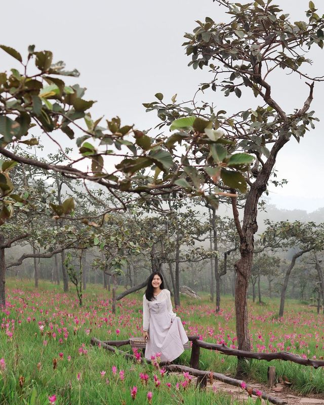 In my dream//เหมือนหลุดไปอยู่ในความฝัน🌷💖✨🫶🏻🌸