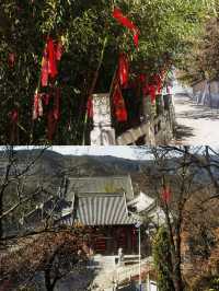 西安周邊遊｜銅川照金大香山