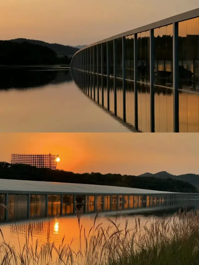 Shandong's Most Worthwhile Art Museum to Visit | Water Art Museum