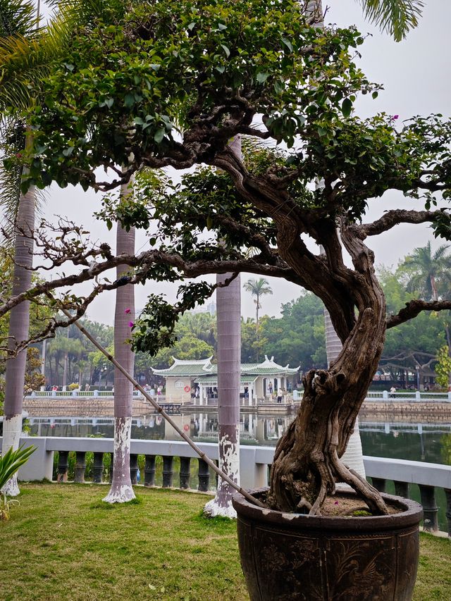 逛公園才是正經事