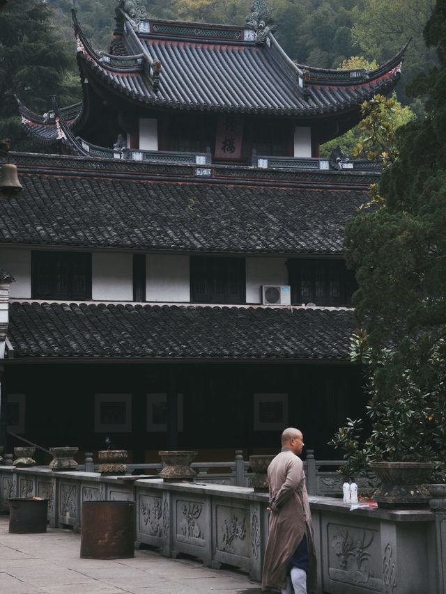 浙江旅遊｜中日文化交流的歷史見證-寧波天童寺