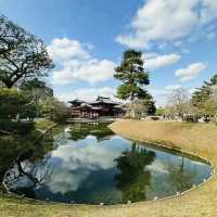打卡日本宇治平等苑