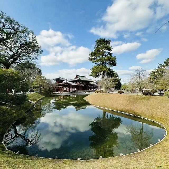 打卡日本宇治平等苑