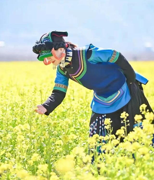 莫負春光好韶華，越西豈止油菜花開