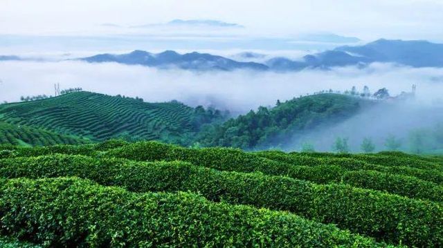 陝西安康鎮坪 I 一半山水一半城