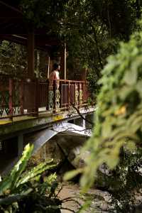 五指山熱帶雨林公園