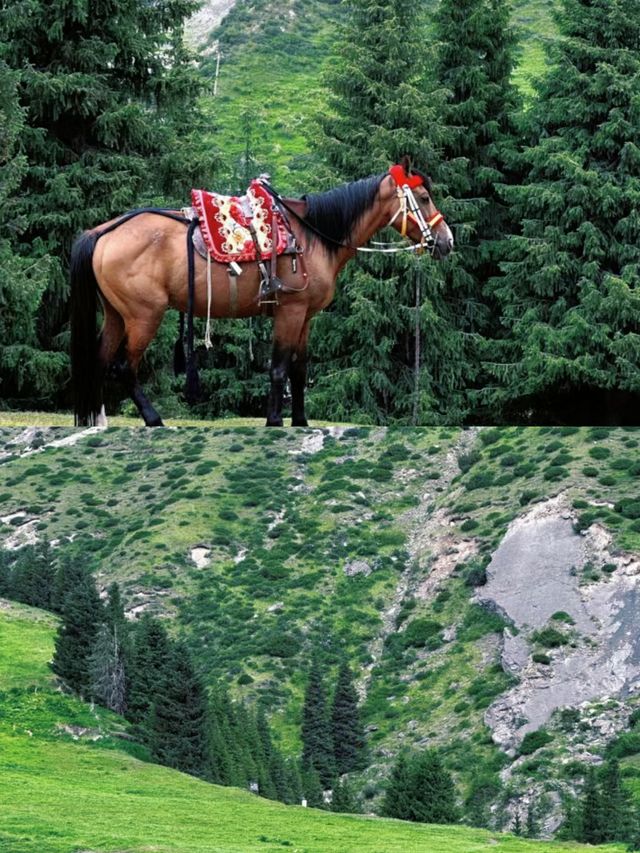 新疆旅遊｜阿克蘇的塔村我看看誰還沒來過的？