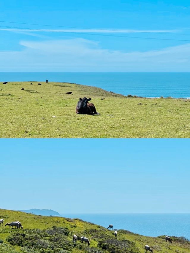 陪你到天涯海角世界盡頭