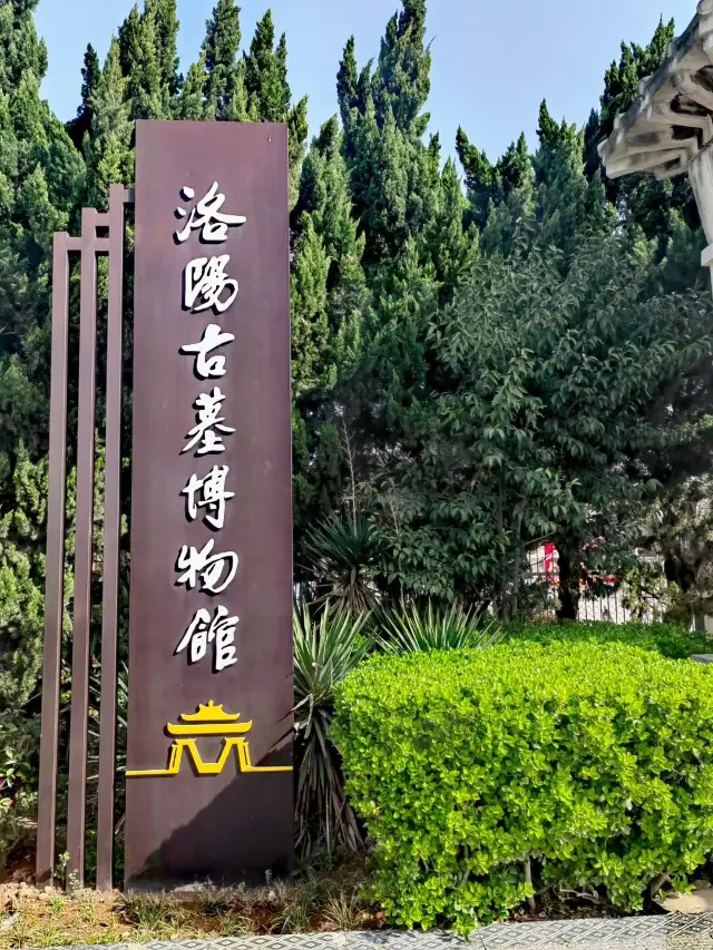 Travelogue of the Luoyang Ancient Tomb Museum
