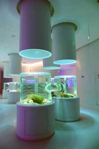 雲上海洋館·特別的存在