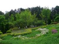 鮮花山谷——登高雲山·雲谷花境