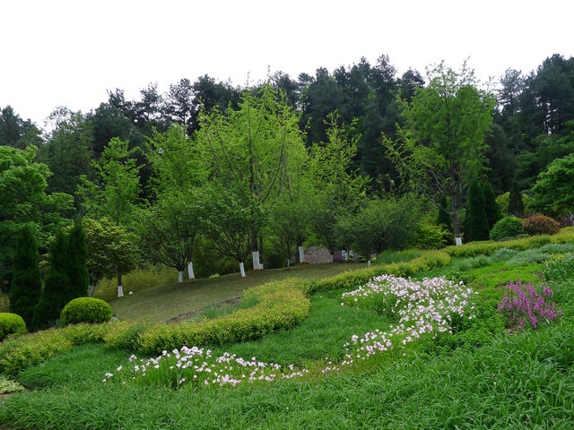 鮮花山谷——登高雲山·雲谷花境