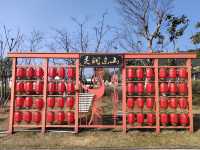 黃梅東山下，清幽問梅村！