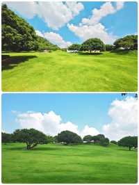 紅花山公園的遊玩攻略