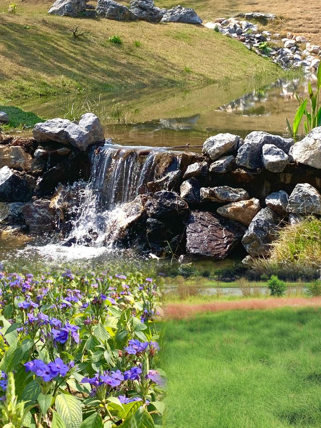 遛娃好去處，城市“綠肺”丨金鐘湖水庫