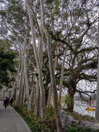 福州西湖公園