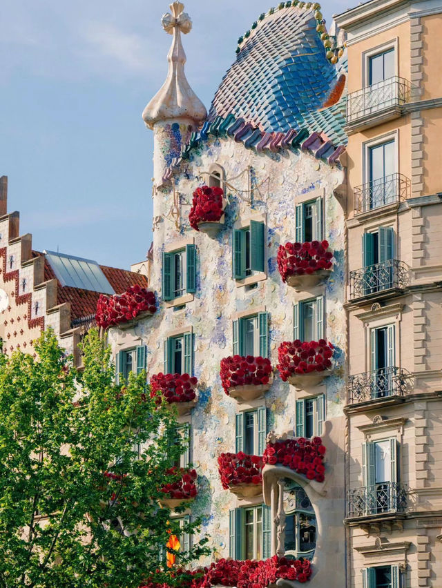 Barcelona Valentine's Day💌 Everywhere roses🇪🇸