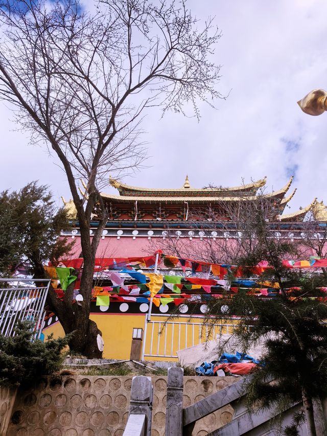 香格里拉的大佛寺和轉經筒（免費景點）｜｜你玩得可真花啊！