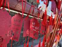 天宁寺，位於北京市廣安門外北面，始建於南北朝北魏孝文帝時期，是北京現存始建年代最古老的寺院之一，也是中國大陸五座天宁寺中歷史最悠久的一座