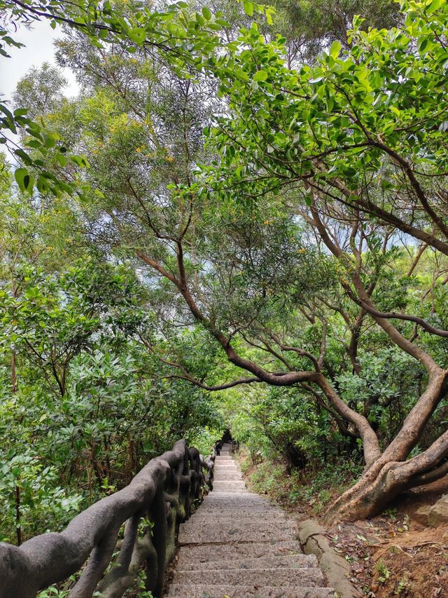 深圳大小梧桐山超詳細攻略