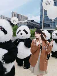 不愧是上海隨時隨地可以rua