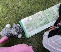 房車露營｜安吉樂那湖營地帶娃去沒有天花板的地方