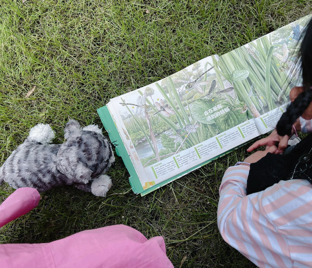 房車露營｜安吉樂那湖營地帶娃去沒有天花板的地方