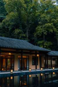 清明出行