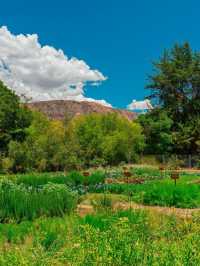🌟 Sacred Valley's Gem: Tambo del Inka Resort 🌄
