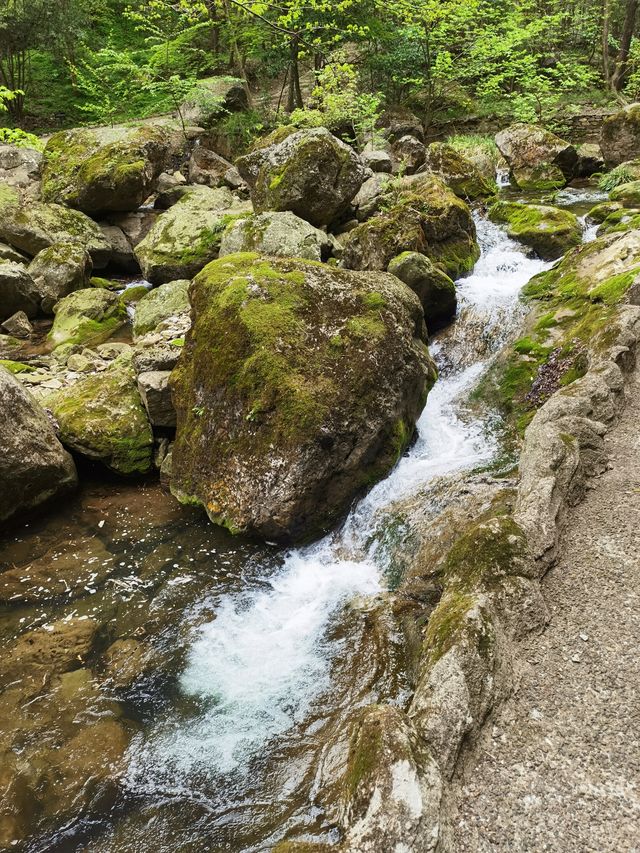金絲峽