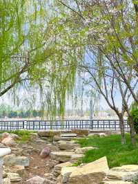 徐州高鐵3h直達住進北方瑞士莊園，消暑太絕了