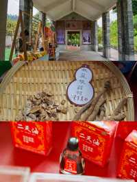 廣州有個適合帶娃打卡的小眾博物館：神農草堂