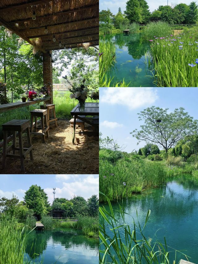 海寧| 長安鎮的覺皇寺