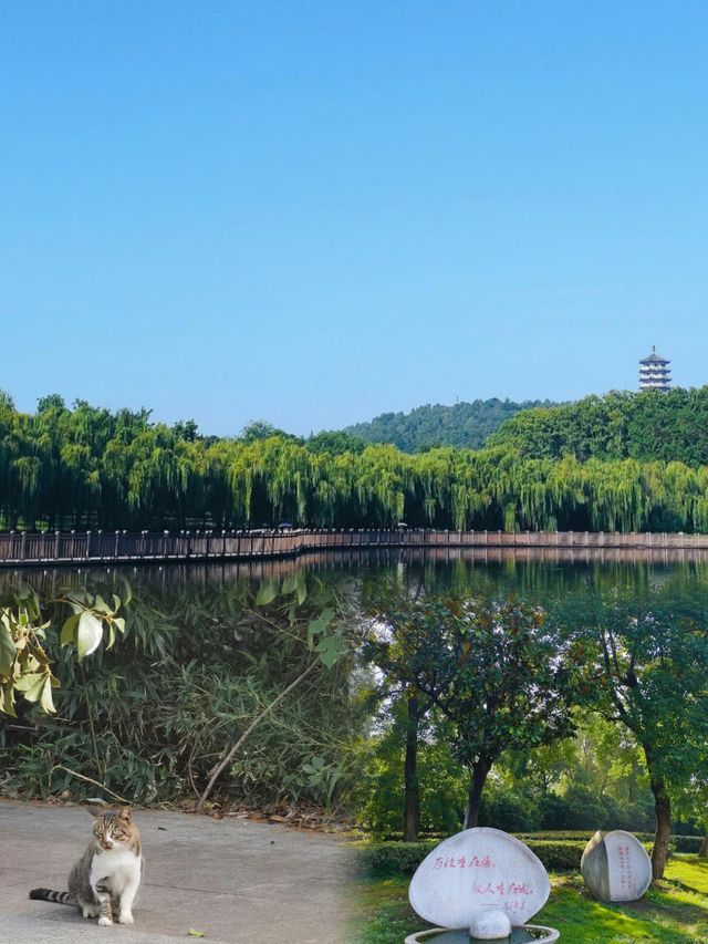 蚌埠張公山公園歪歪精丨旅遊攻略
